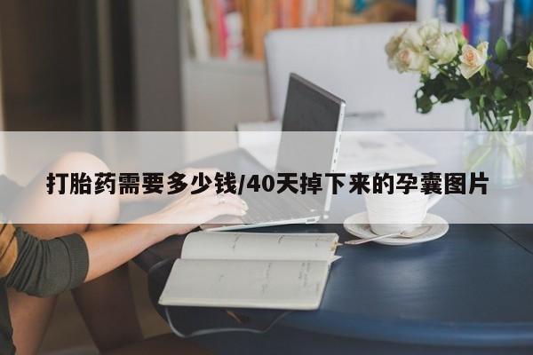 米非司酮片网上购买微信打胎药需要多少钱/40天掉下来的孕囊图片
